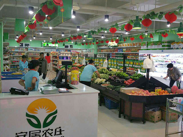 ����ᶫ��ʱ�ʳ�����