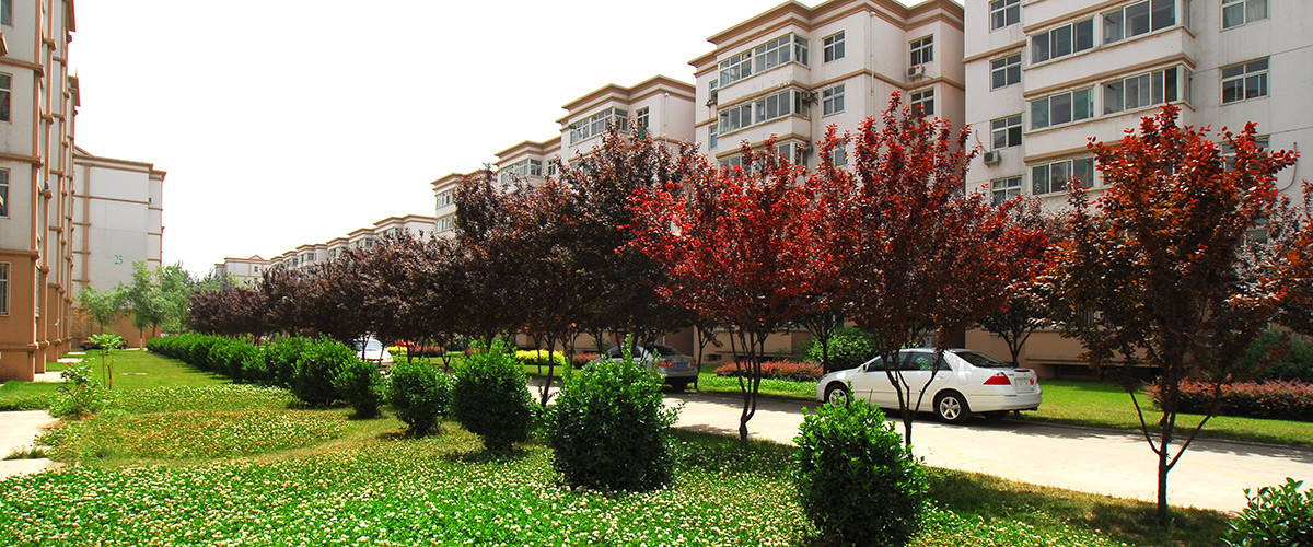 河北金年会房地产开发集团有限公司