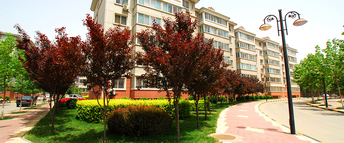 河北金年会房地产开发集团有限公司